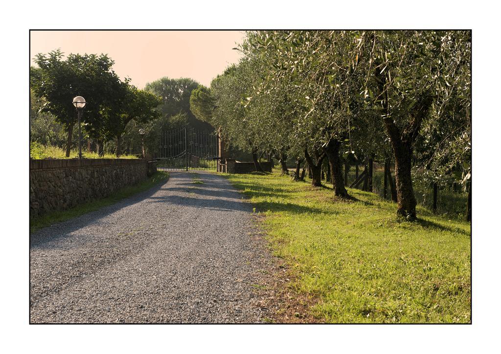 B&B Casale Virgili Σιένα Εξωτερικό φωτογραφία